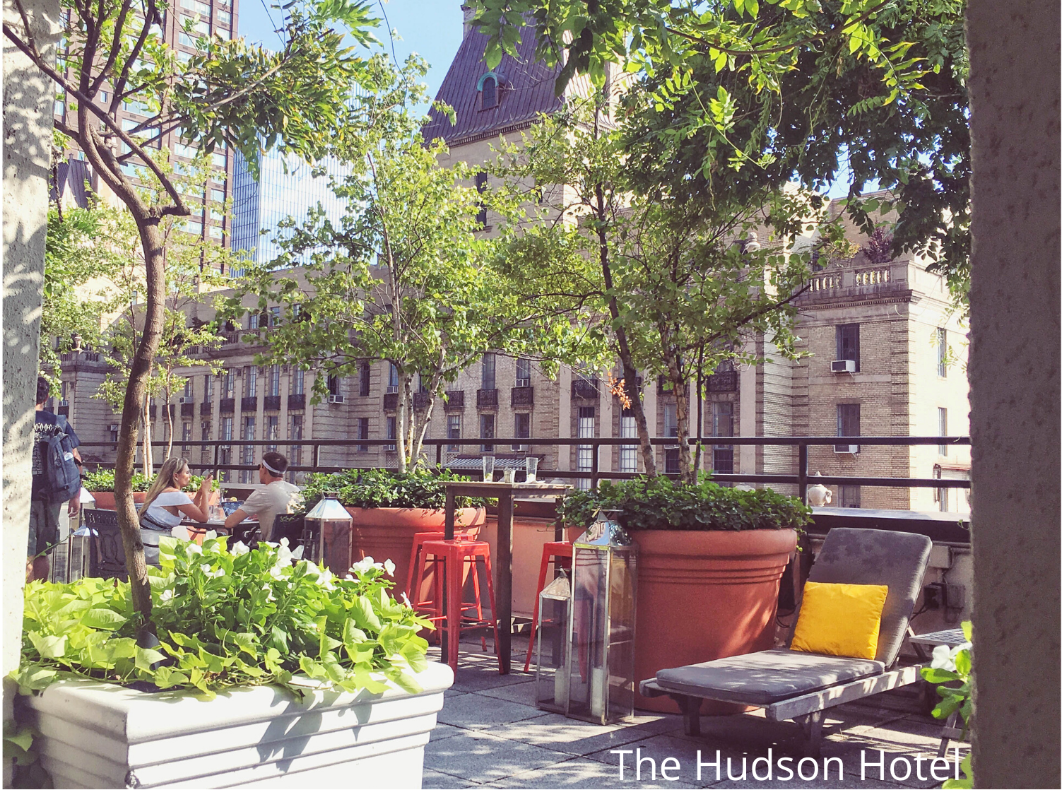 A sunlit rooftop bar with botted trees and plants